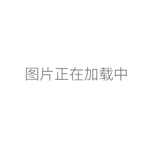 上海司樂B11-2轉(zhuǎn)速數(shù)顯恒溫磁力攪拌器